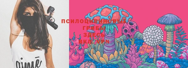 гидропоника Надым